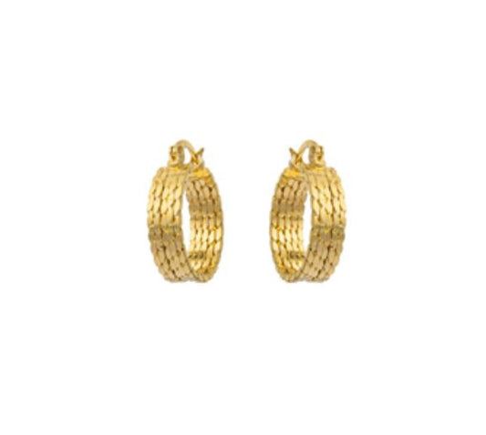 Shay hoops
